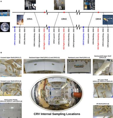 Assessing the Risk of Transfer of Microorganisms at the International <mark class="highlighted">Space Station</mark> Due to Cargo Delivery by Commercial Resupply Vehicles